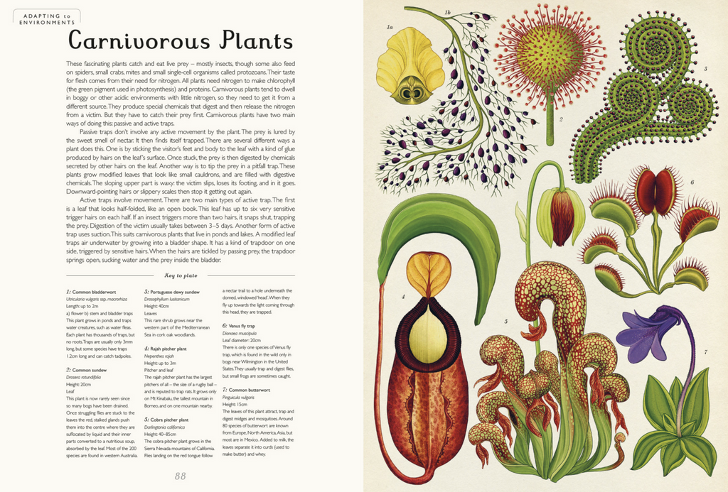 Botanicum: Welcome to the Museum book pdf